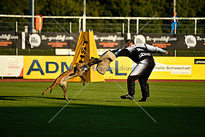 Anima ex mera passio