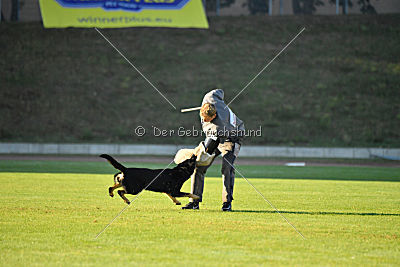 Anna vom Niederbühler Tor