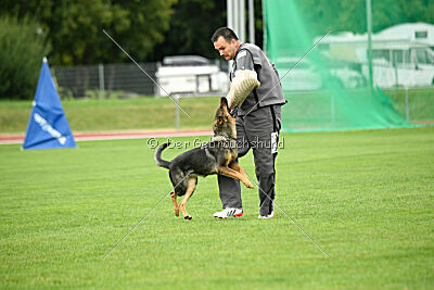 Annie von der lichten Tanne