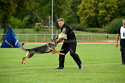 Annie von der lichten Tanne