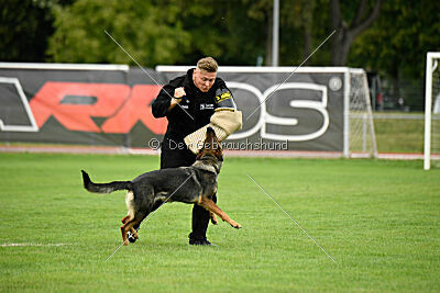 Annie von der lichten Tanne