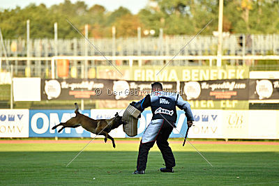 Anouk vom Münzenberg