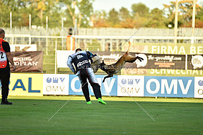 Anouk vom Münzenberg