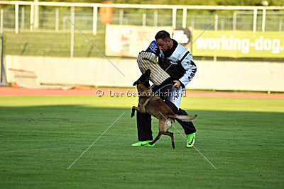 Anouk vom Münzenberg