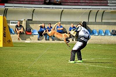 Anouka vom Mittelpunkt
