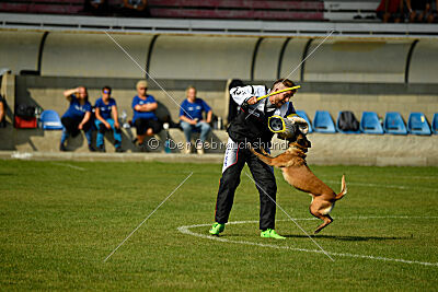 Anouka vom Mittelpunkt