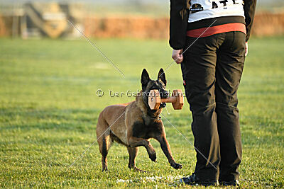 Anouka vom Mittelpunkt