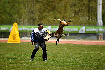 Anouka vom Mittelpunkt