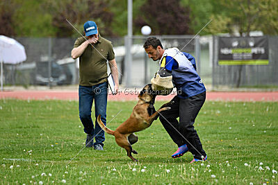 Anouka vom Mittelpunkt