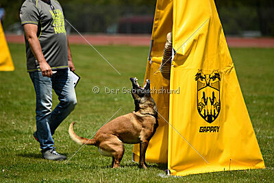 Anouka vom Mittelpunkt