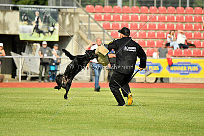 Anton vom Kickersberg