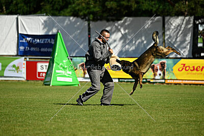 Anton von den Wannaer Höhen