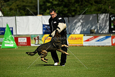 Anton von den Wannaer Höhen