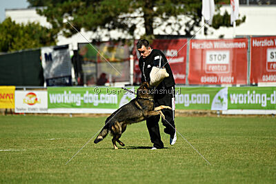 Anton von den Wannaer Höhen