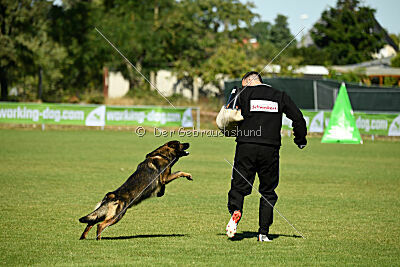 Anton von den Wannaer Höhen