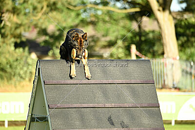 Anton von den Wannaer Höhen