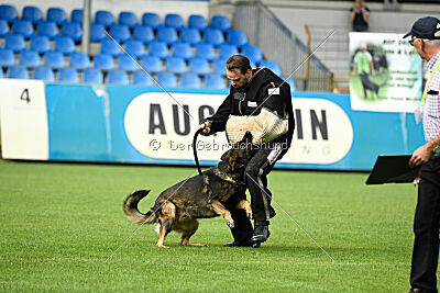 Anton von den Wannaer Höhen