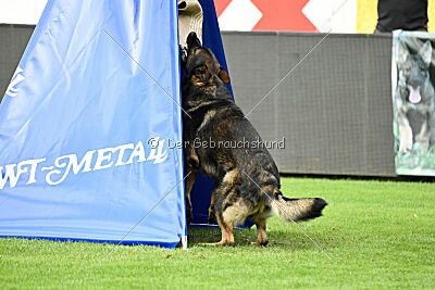 Anton von den Wannaer Höhen