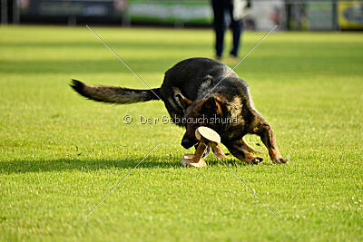 Anton von der lichten Tanne