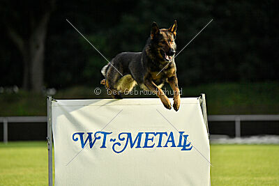 Anton von der lichten Tanne