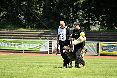 Anton von der lichten Tanne