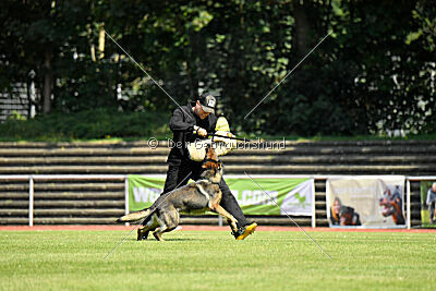 Anton von der lichten Tanne