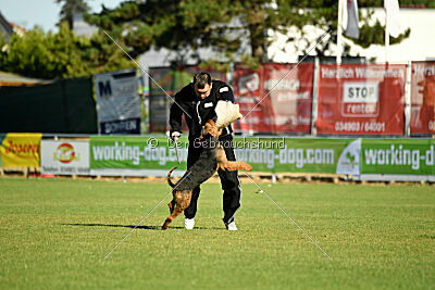 Antrax von Anna Maria