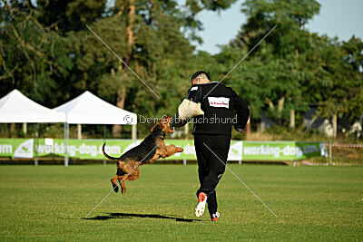 Antrax von Anna Maria