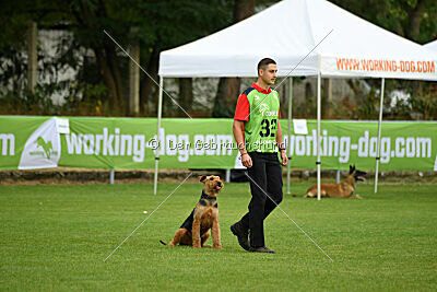 Antrax von Anna Maria