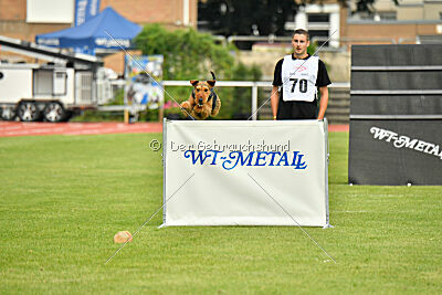 Antrax von Anna Maria