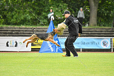 Antrax von Anna Maria