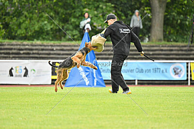 Antrax von Anna Maria