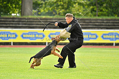 Antrax von Anna Maria