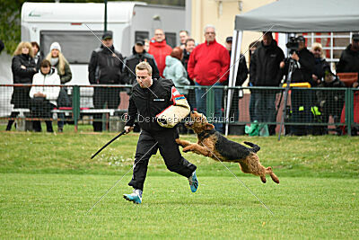 Antrax von Anna Maria