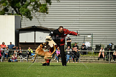 Apollo Airport Hannover