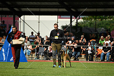 Apollo Airport Hannover