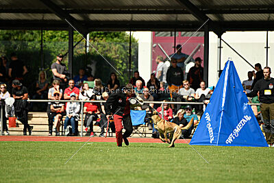 Apollo Airport Hannover