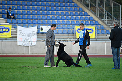 Apollo vom Schloß Solitude