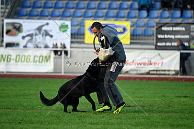 Apollo vom Schloß Solitude