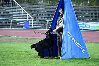 Apollo vom Schloß Solitude