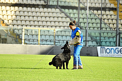 Apollo vom Schloß Solitude