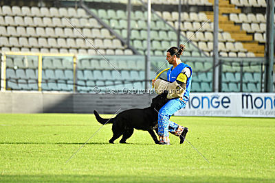 Apollo vom Schloß Solitude