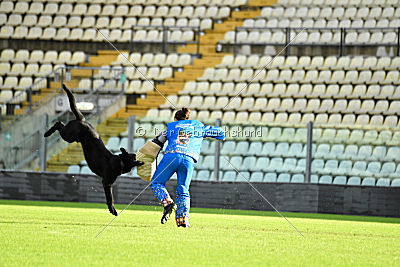 Apollo vom Schloß Solitude