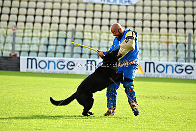 Apollo vom Schloß Solitude
