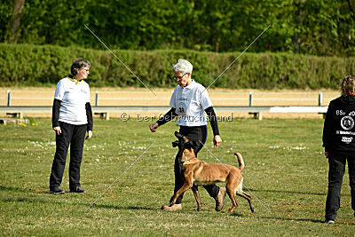 Aponi ex mera passio