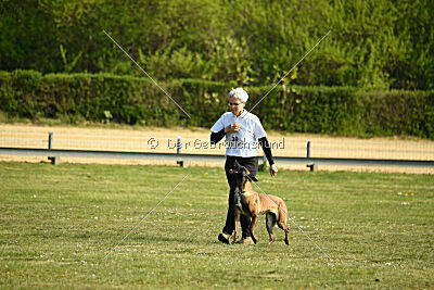 Aponi ex mera passio