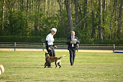 Aponi ex mera passio