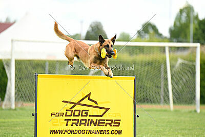 Appetitio Grande Occultatum Libera