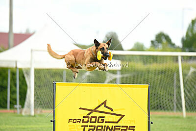 Appetitio Grande Occultatum Libera