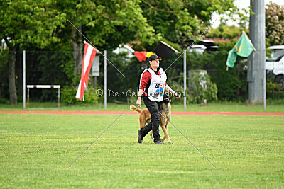 Appetitio Grande Occultatum Libera